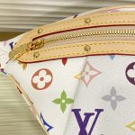 Louis Vuitton High Rise Waist Bag M13660 - Image 5