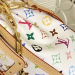 Louis Vuitton Dauphine Soft Large Shoulder Bag M13255 - Image 6
