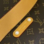Louis Vuitton Monogram Métis Hobo Bag 48x36x12cm - Image 6