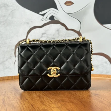 UbestLuxury Chanel Chanel 24C Shoulder Bag 22cm main product photo SKU CH30630