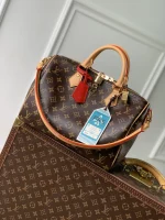 Louis Vuitton Speedy Soft 30 Dark Shoulder Bag 30cm
