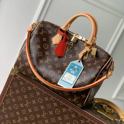 Louis Vuitton collection image