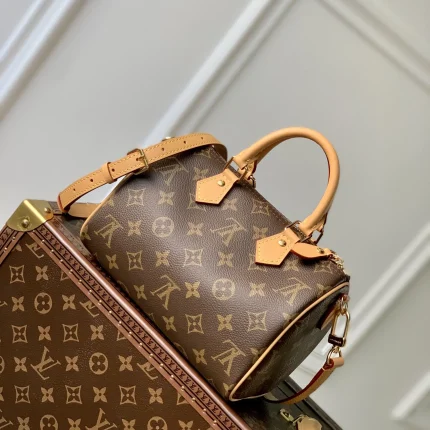 Louis Vuitton collection image