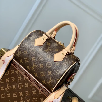 Louis Vuitton collection image