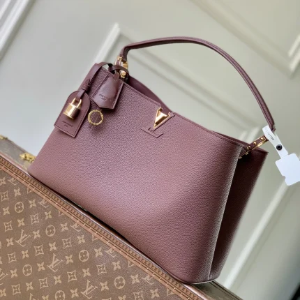Louis Vuitton collection image