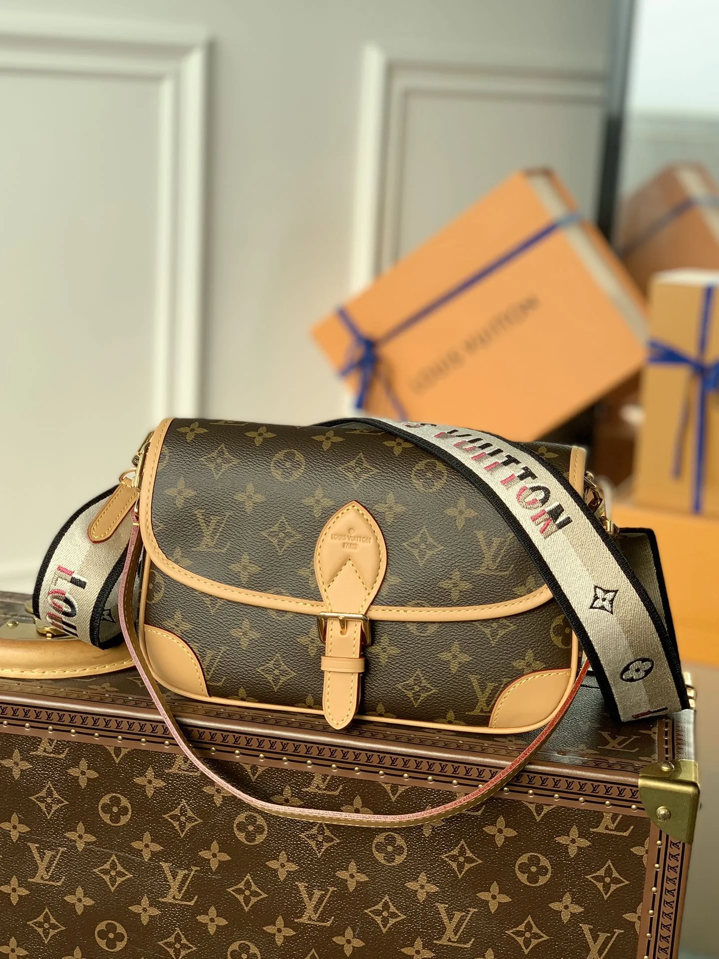 1-3917 Louis Vuitton DIANE Shoulder Bag 25cm - Image 1