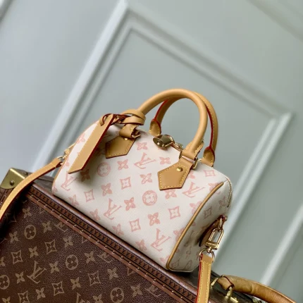 Louis Vuitton collection image