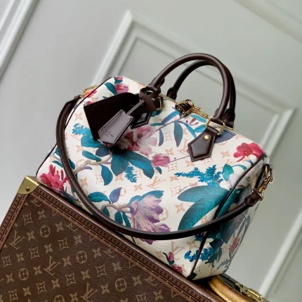 Louis Vuitton collection image