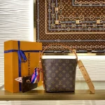 Louis Vuitton ALL IN BB Bucket Bag Handbag 18cm