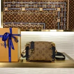 Louis Vuitton side trunk mini Handbag 18cm