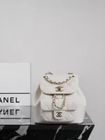 UbestLuxury Chanel Chanel Duma Backpack 18.5cm main product photo SKU CH30862
