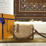 Louis Vuitton SIDE TRUNK Medium Handbag Case 23.5cm