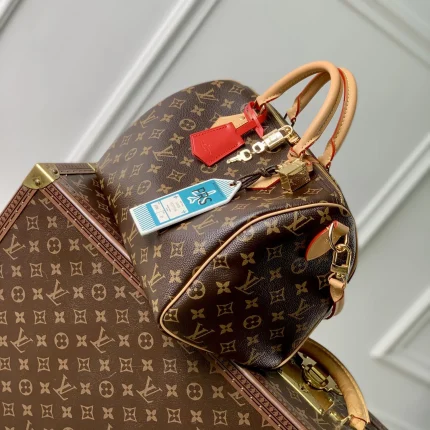 Louis Vuitton collection image