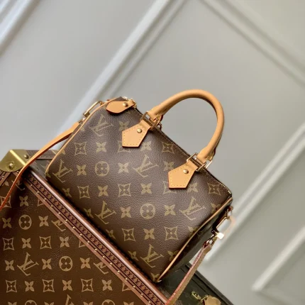 Louis Vuitton collection image