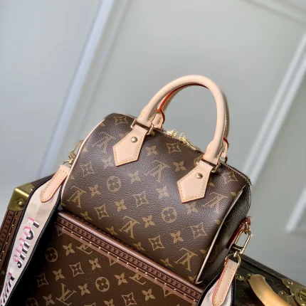 Louis Vuitton collection image