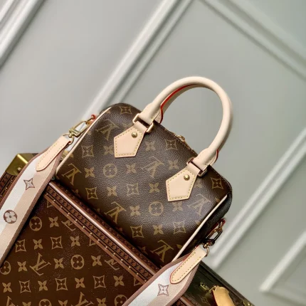 Louis Vuitton collection image