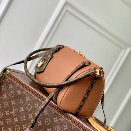 Louis Vuitton collection image