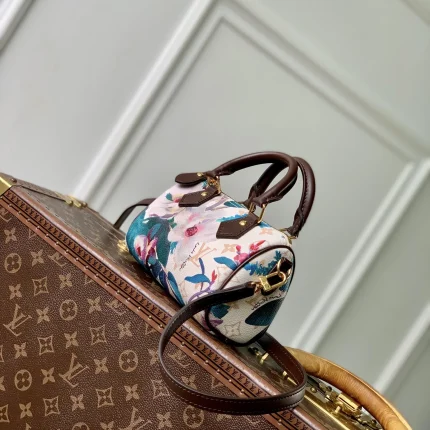 Louis Vuitton collection image