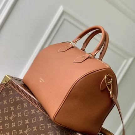 Louis Vuitton collection image