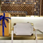 Louis Vuitton Side Trunk PM Handbag Case 18cm - Image 2