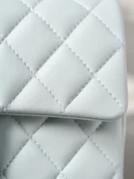 UbestLuxury Chanel Chanel Handbag 20cm product photo detail 1 SKU CH31051