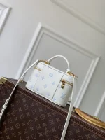 Louis Vuitton Vanity Chain Pouch 19cm - Image 3