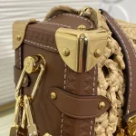 Louis Vuitton SIDE TRUNK Medium Handbag Case 23.5cm - Image 3