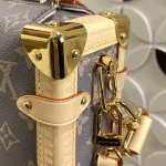 Louis Vuitton SIDE TRUNK Medium Handbag Case 21cm - Image 3