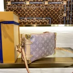 Louis Vuitton SIDE TRUNK Handbag Case 21cm - Image 3