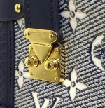 Louis Vuitton SIDE TRUNK Handbag Case 21cm - Image 3