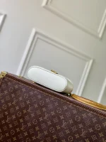 Louis Vuitton Vanity Chain Pouch 19cm - Image 4