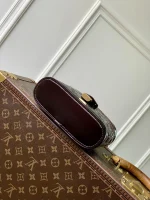 Louis Vuitton Vanity Chain Pouch 19cm - Image 4