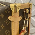 Louis Vuitton SIDE TRUNK Large Handbag Case 30cm - Image 4