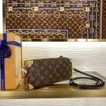 Louis Vuitton SLIM SIDE TRUNK Handbag Case 23cm - Image 4