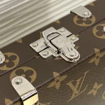 Louis Vuitton NEO WALLET TRUNK Handbag Case 21.5cm - Image 4