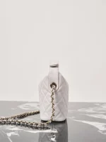 UbestLuxury Chanel Chanel Handbag 21.5cm product photo detail 4 SKU CH30693