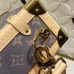 Louis Vuitton SIDE TRUNK Medium Handbag Case 21cm - Image 5