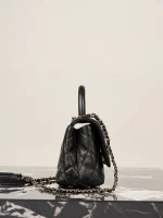 UbestLuxury Chanel Chanel Cocohandle Mini Handbag 19cm product photo detail 4 SKU CH31025