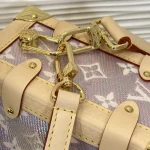 Louis Vuitton SIDE TRUNK Handbag Case 21cm - Image 6