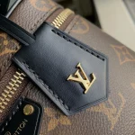 Louis Vuitton Vanity Chain Pouch 19cm - Image 7