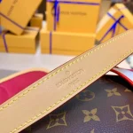 Louis Vuitton DIANE Shoulder Bag 25cm - Image 7