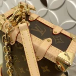 Louis Vuitton SIDE TRUNK EAST WEST Medium Handbag Case 28cm - Image 7