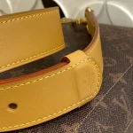 Louis Vuitton SOUL TRUNK EAST WEST Shoulder Bag 29cm - Image 7