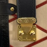 Louis Vuitton SIDE TRUNK Medium Handbag Case 21cm - Image 6