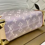 Louis Vuitton SIDE TRUNK Handbag Case 21cm - Image 7