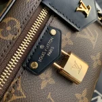 Louis Vuitton Vanity Chain Pouch 19cm - Image 8