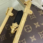 Louis Vuitton LUCKY SIDE TRUNK Handbag Shoulder Bag 38cm - Image 8