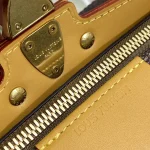 Louis Vuitton SOUL TRUNK EAST WEST Shoulder Bag 29cm - Image 8
