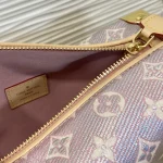 Louis Vuitton SIDE TRUNK Handbag Case 21cm - Image 8