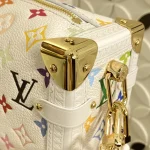 Louis Vuitton SIDE TRUNK Medium Handbag Case 23.5cm - Image 9